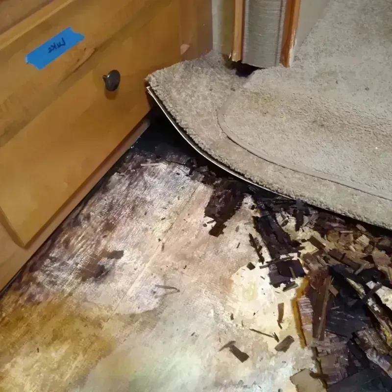 Best Wood Floor Water Damage Service in Sawyer County, WI